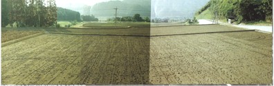 中山間地域農村活性化総合整備事業.jpg (20117 バイト)